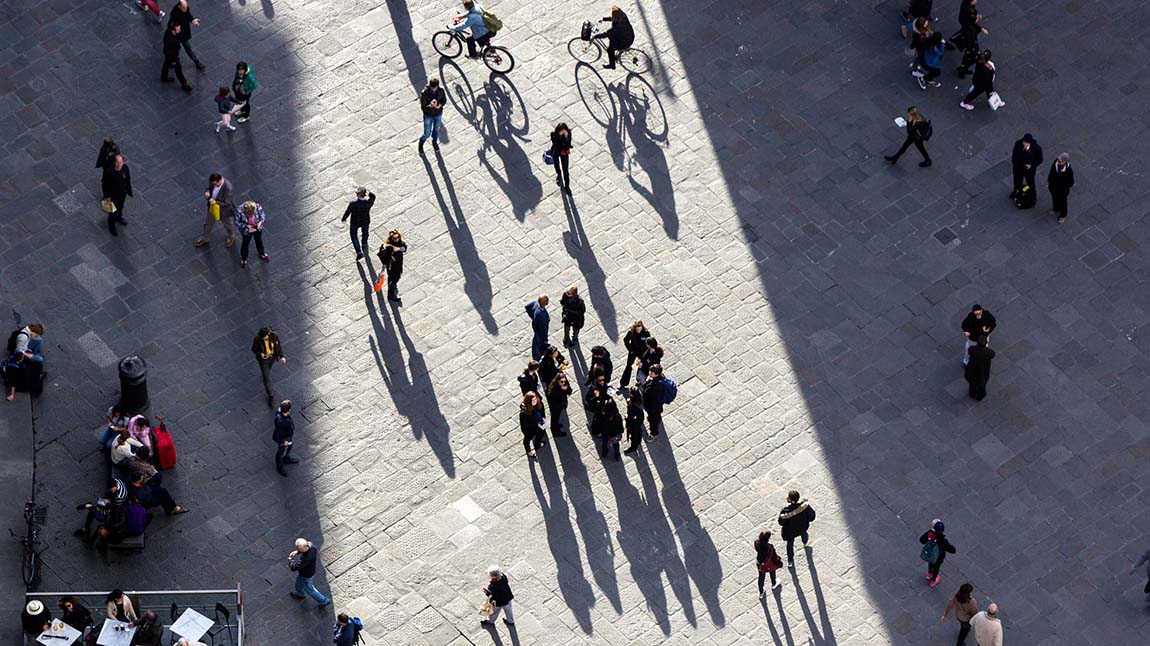 School of fish swimming together in the ocean