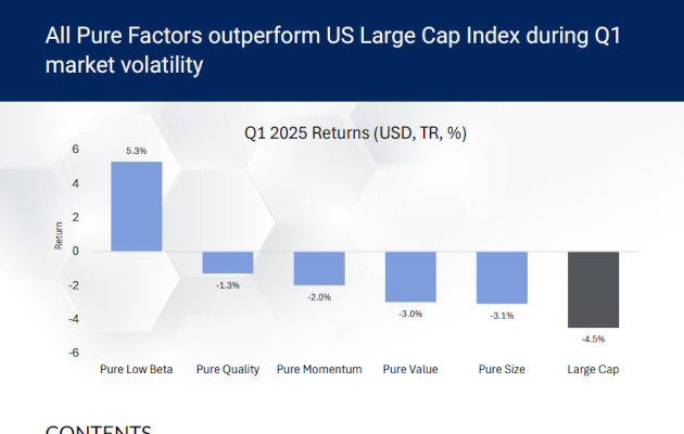 Factor & Style Index Report - Q1 2025
